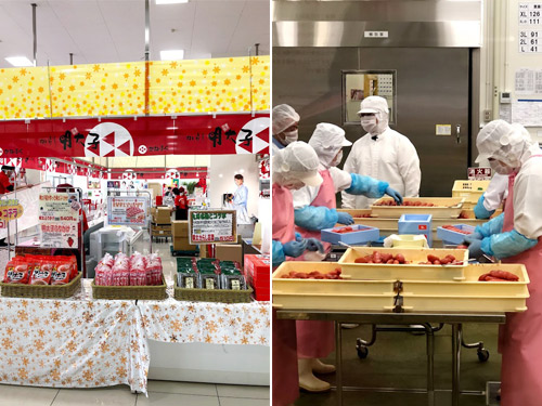 めんたいパーク