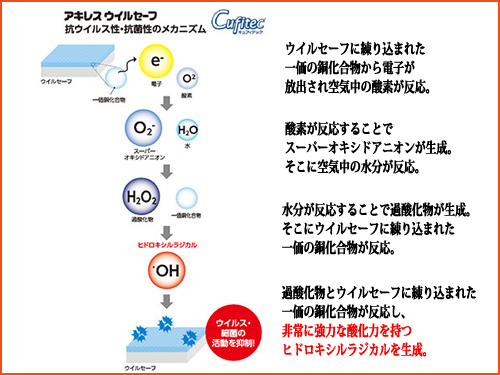 アキレスウイルセーフ