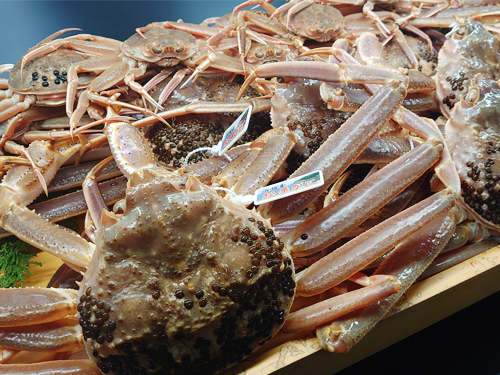 松葉蟹