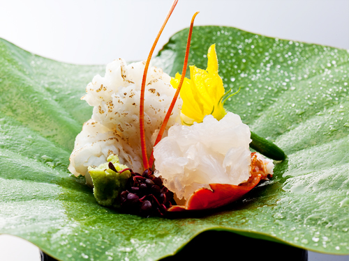 夏お料理イメージ