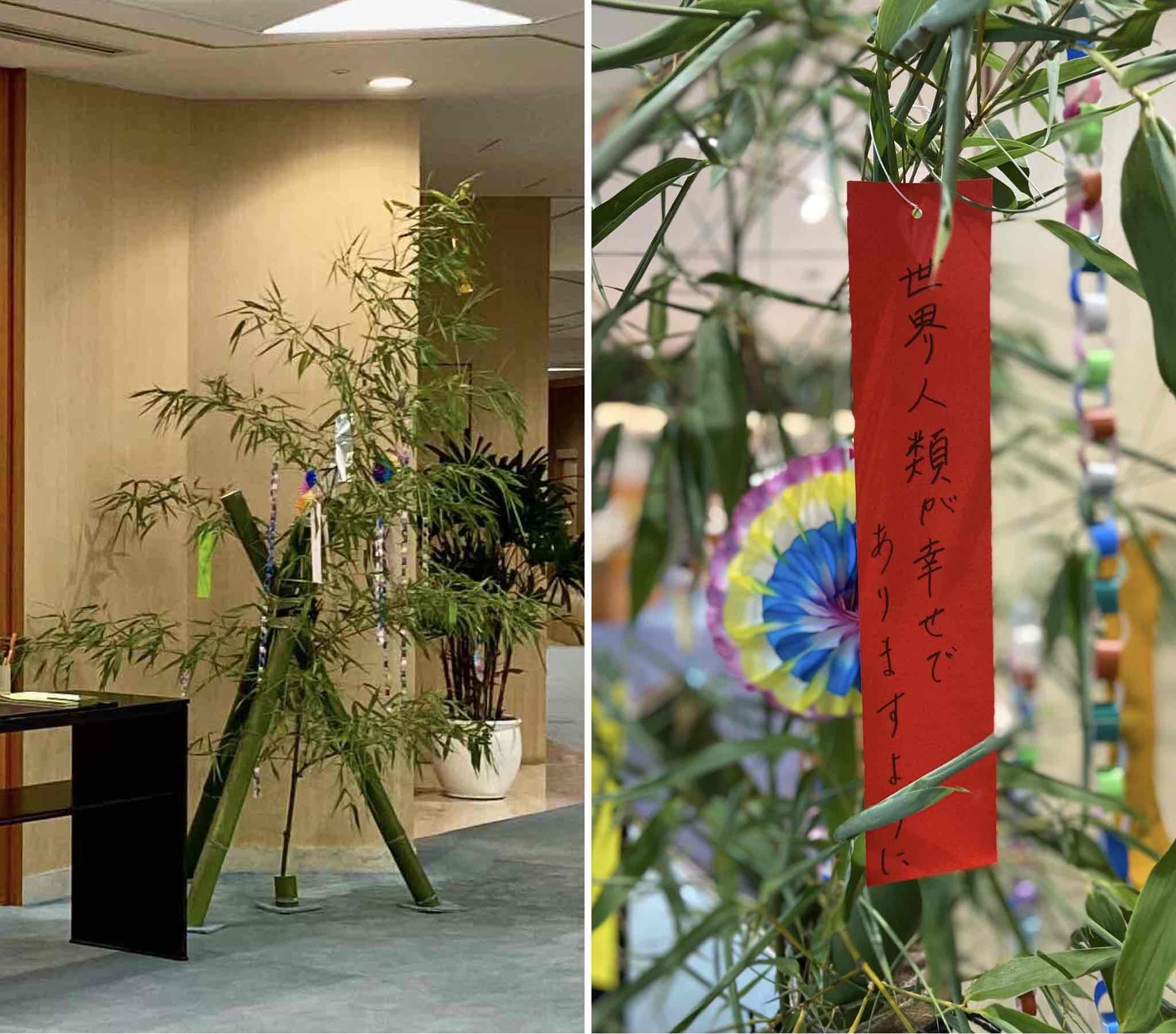 4DA69B3A-1FF1-4D90-8CA2-F83A100F08D2