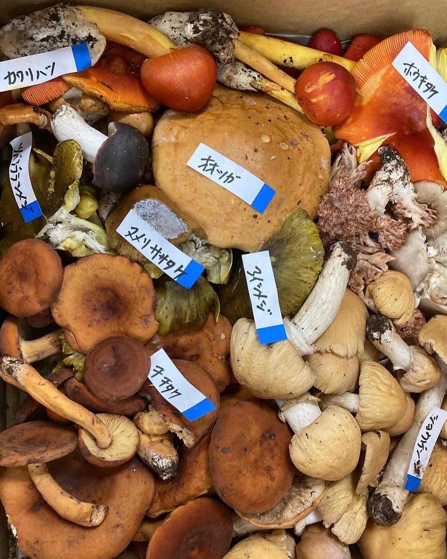 09FE794F-B3D3-4A56-9E31-BBAA834F02FE