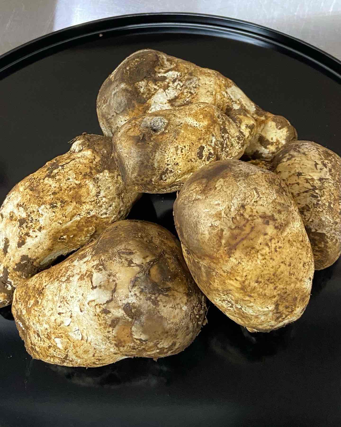 36E7A932-D8A0-4705-8773-FF2E9F6F7247