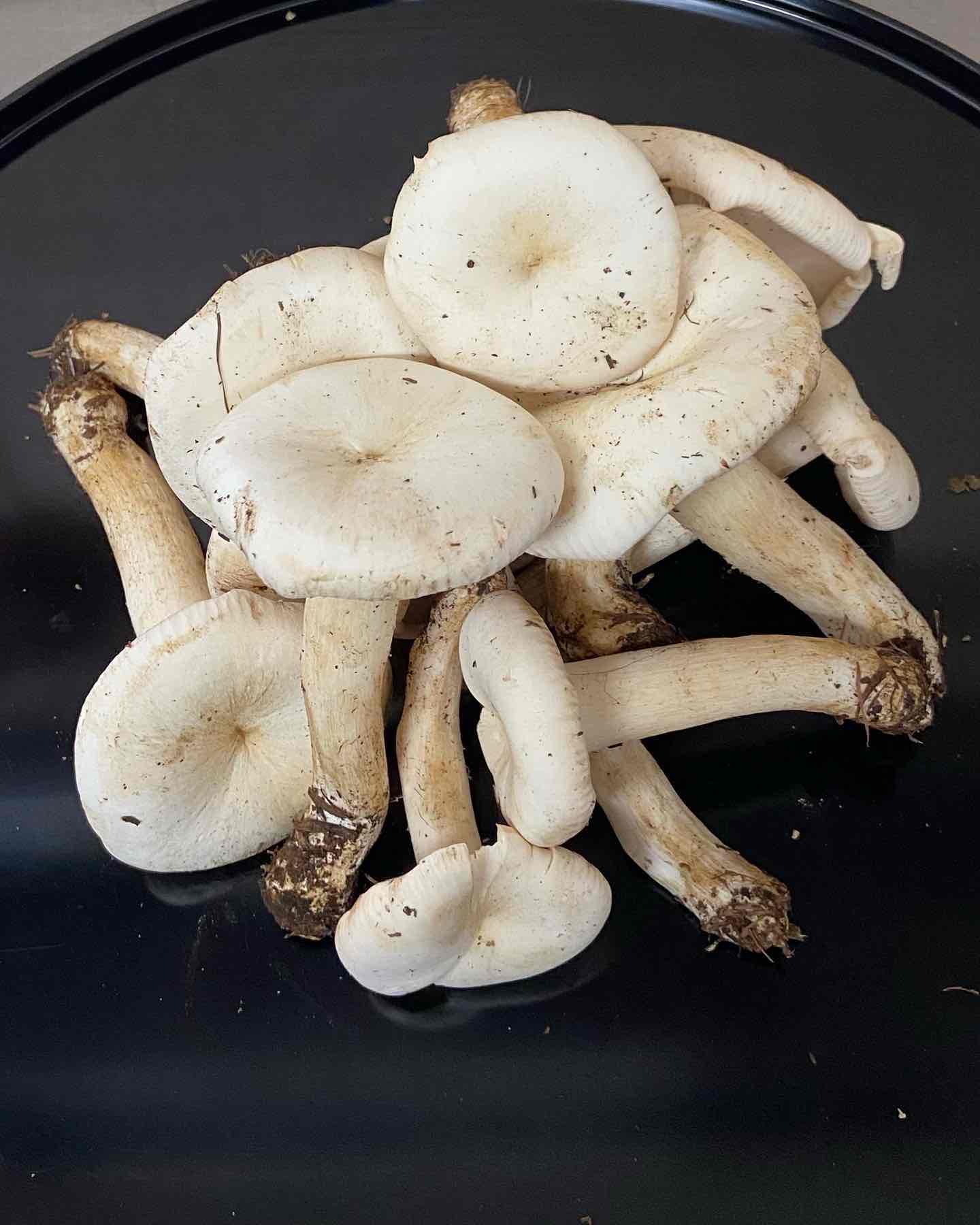 D024A714-FF13-4AC2-9474-E65E938B8D25