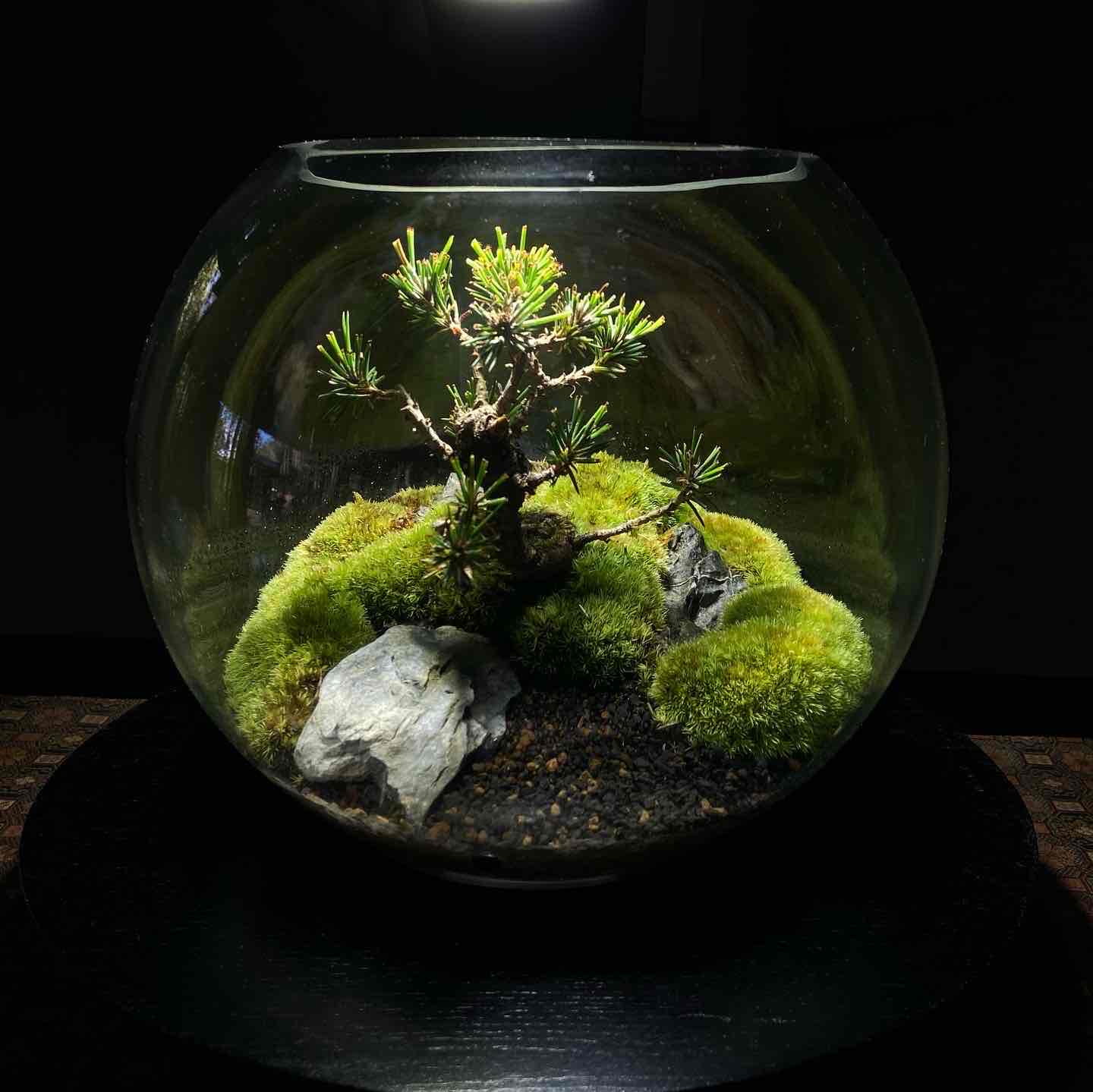 E776DB8B-2D92-466C-9155-C1D3DBF88E84