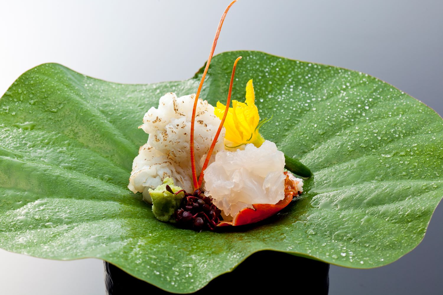 料理ｲﾒｰｼﾞ・夏（蓮盛り・横）