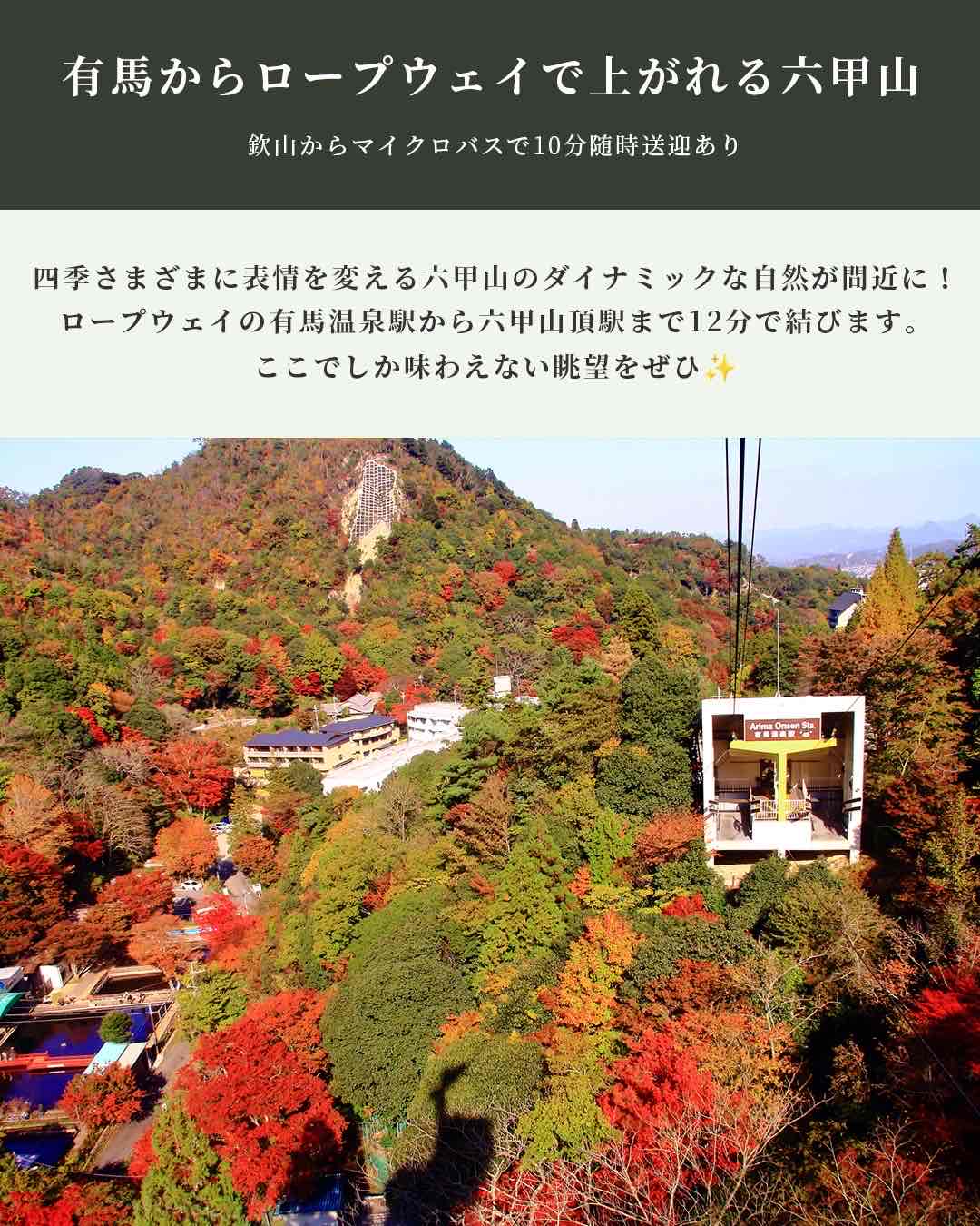 ﾛｰﾌﾟｳｪｲ