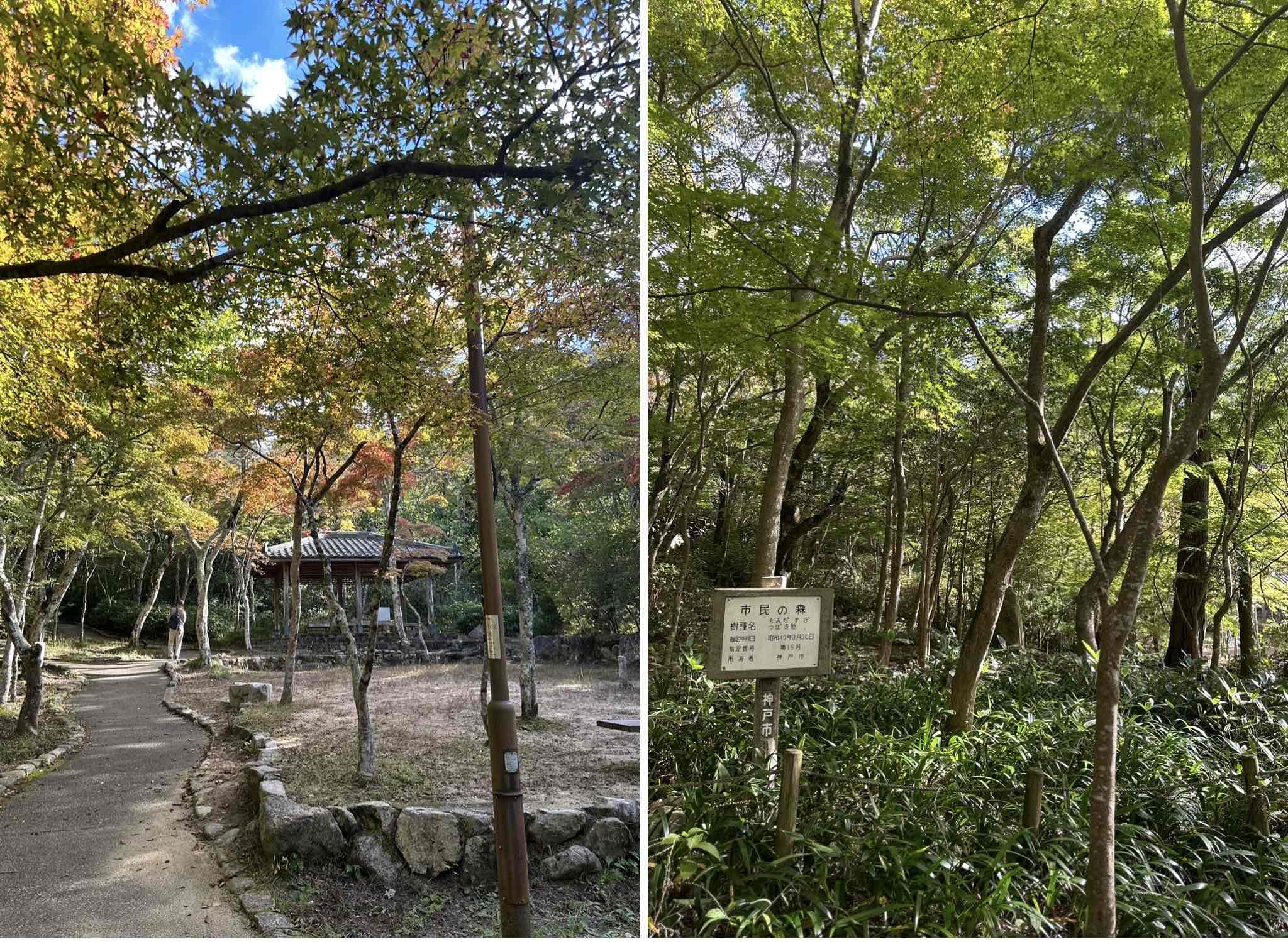 19588619-2E9D-47DB-B219-C7045B966964