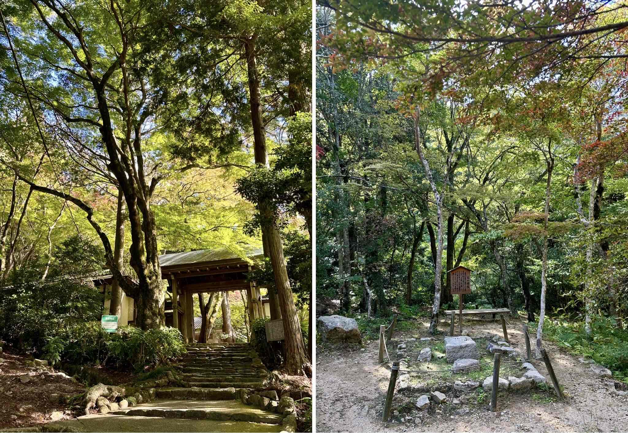 89084A4C-7F37-447B-BE43-4ACCE921C801