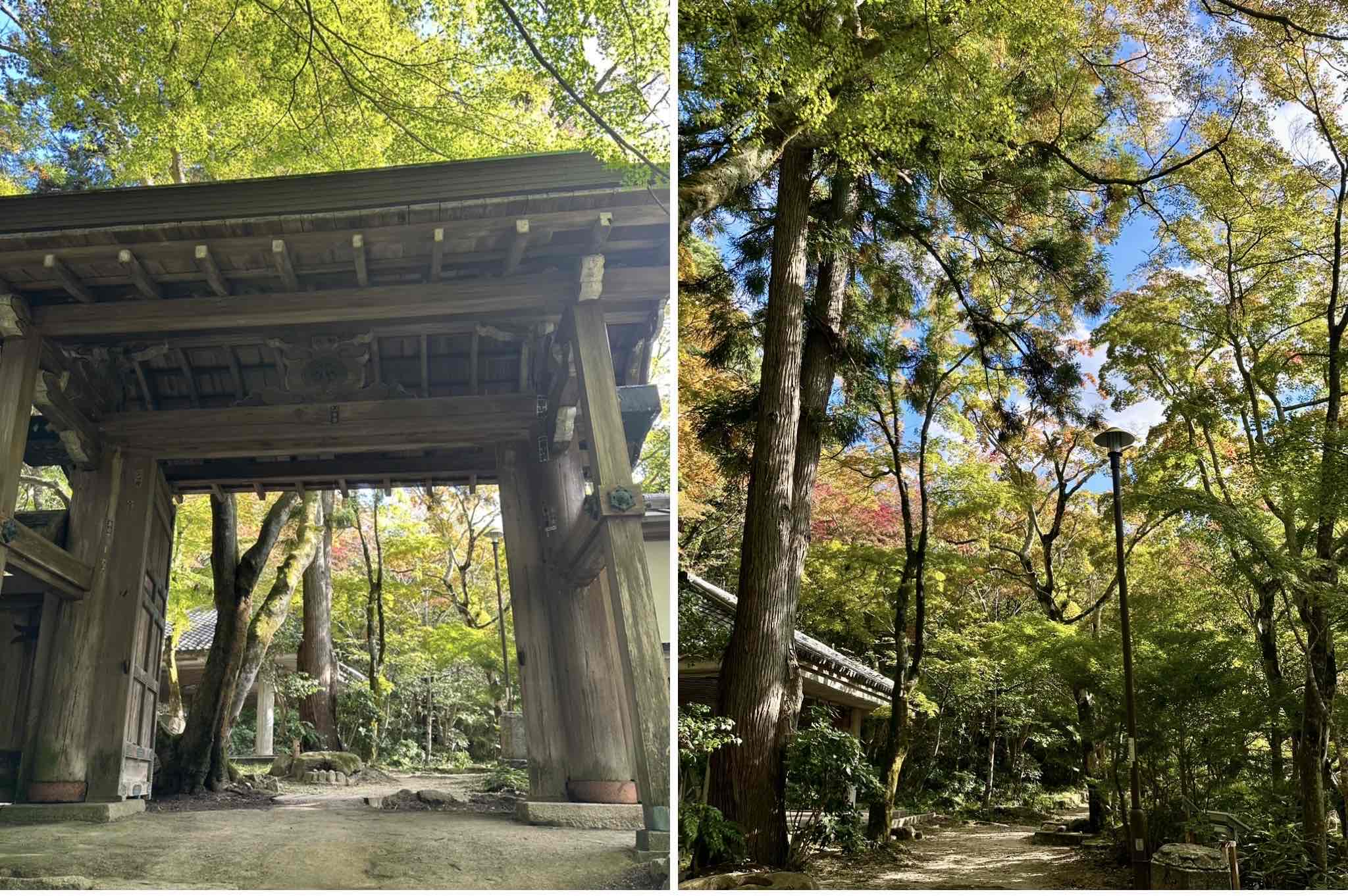 C3B3725C-6A44-421D-AB58-2D538DF9FDF6