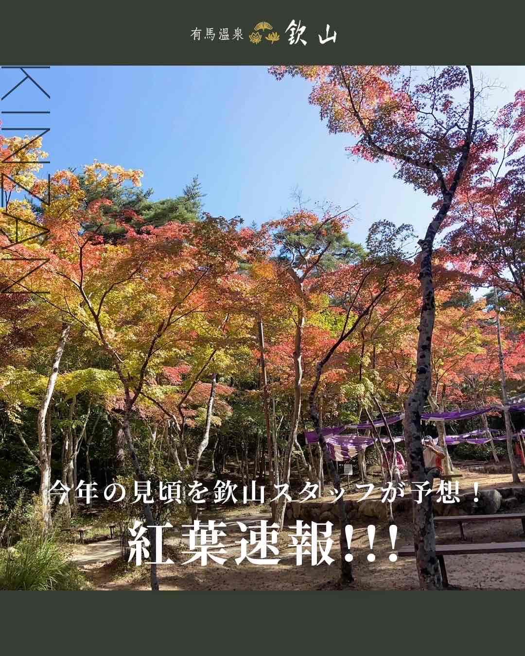 紅葉予想
